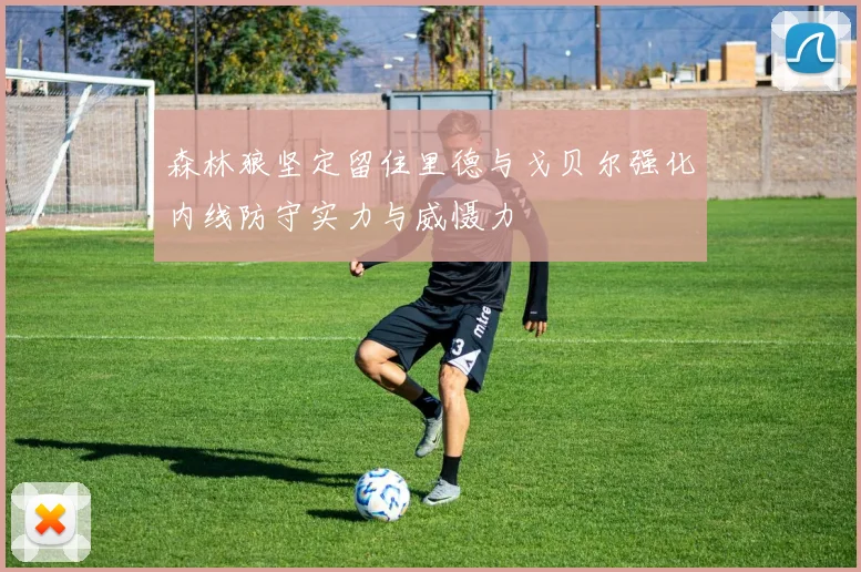森林狼坚定留住里德与戈贝尔强化内线防守实力与威慑力