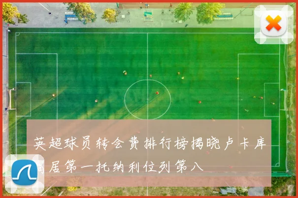 英超球员转会费排行榜揭晓卢卡库高居第一托纳利位列第八